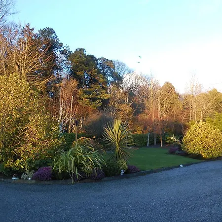 Moonarch Bed & Breakfast Kilkenny